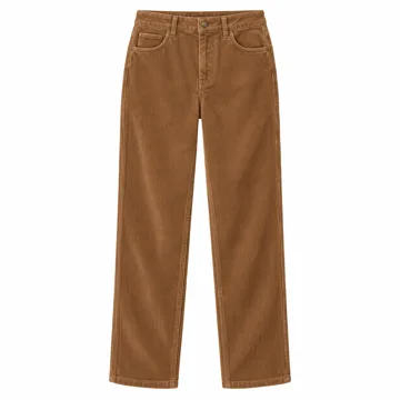 AI-generated illustration inspired by EVALESS women’s straight-leg corduroy pants; not an actual product photo