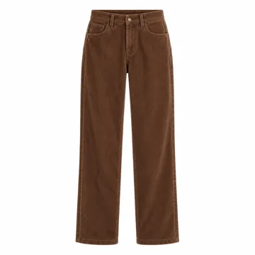 AI-generated illustration inspired by GRAPENT women’s straight-leg corduroy trousers; not an actual product photo